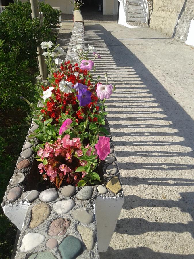 Beautiful View Appartement Kotor Buitenkant foto